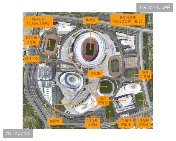 体育数字资产优秀案例推广，发挥示范效应